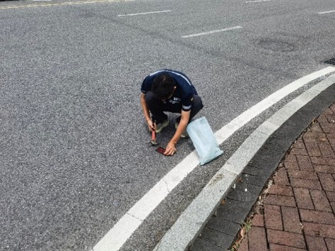 圖片1.jpg
